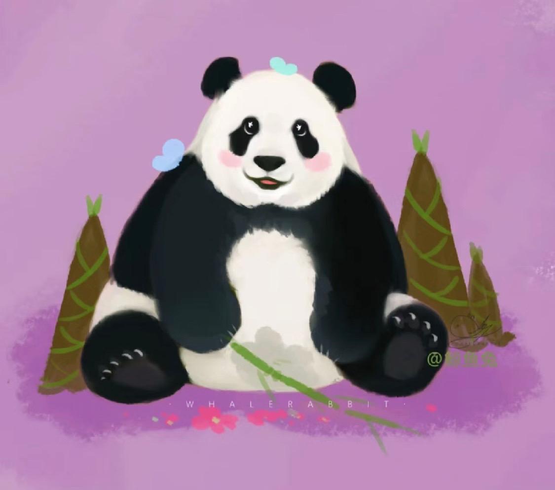 special Everest for Terri Panda love 12.24 updated